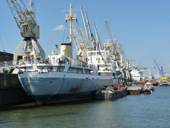 Muzeum Portu w Hamburgu