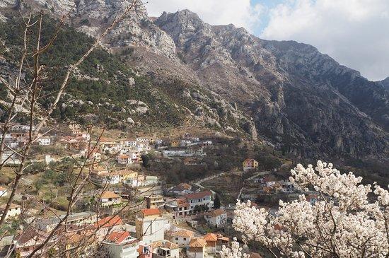 Bar Restorant Merlika