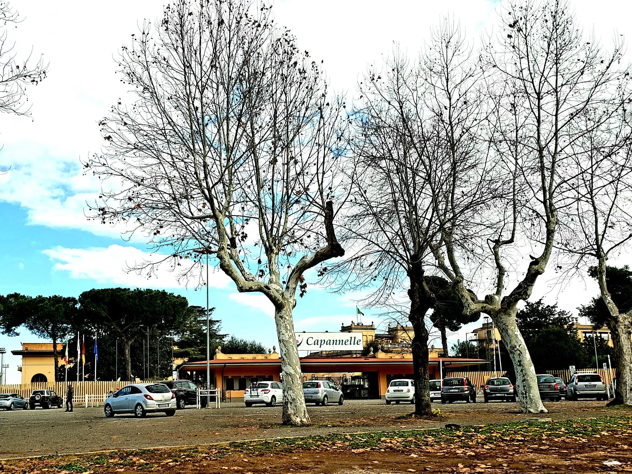 Hipodrom Capannelle