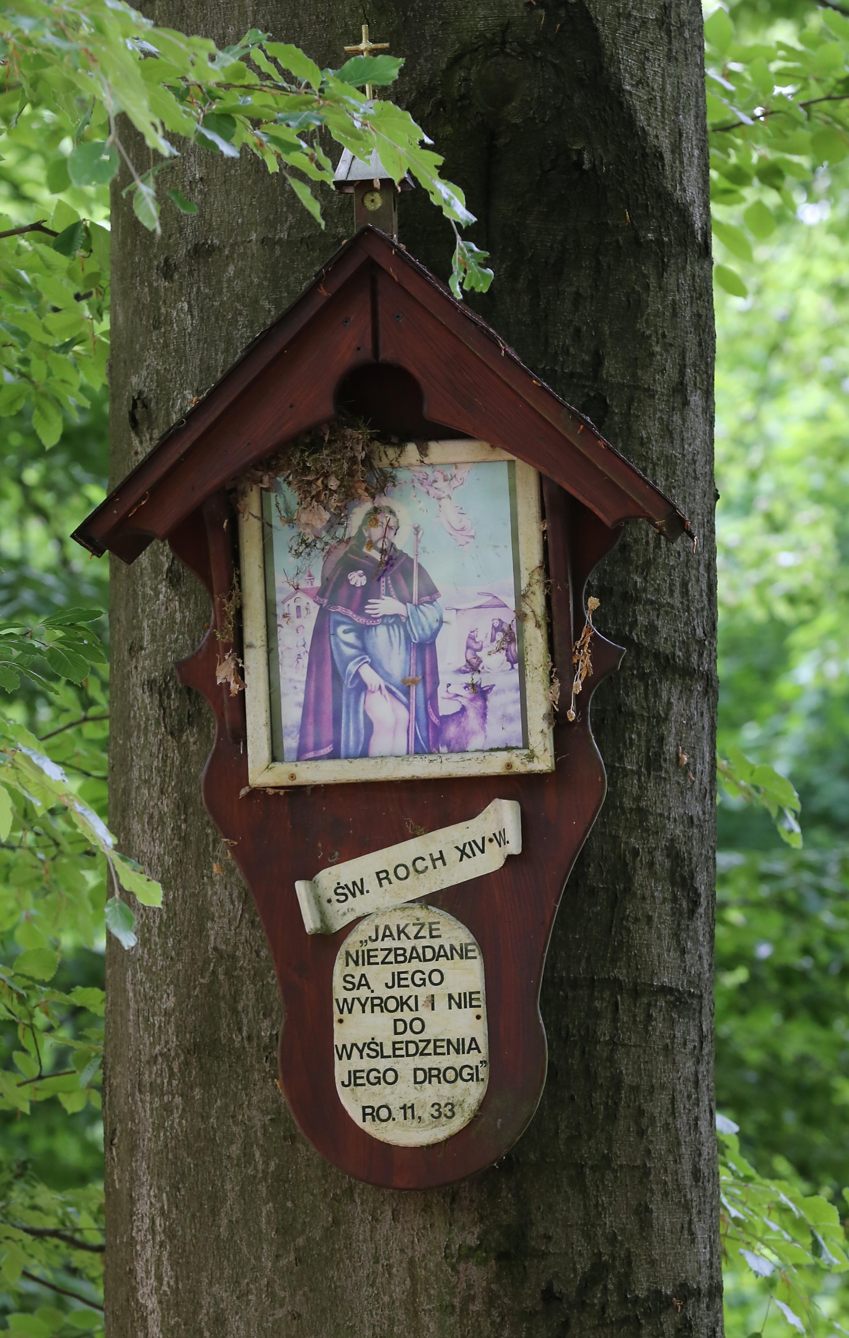 Rezerwat przyrody Biesiec