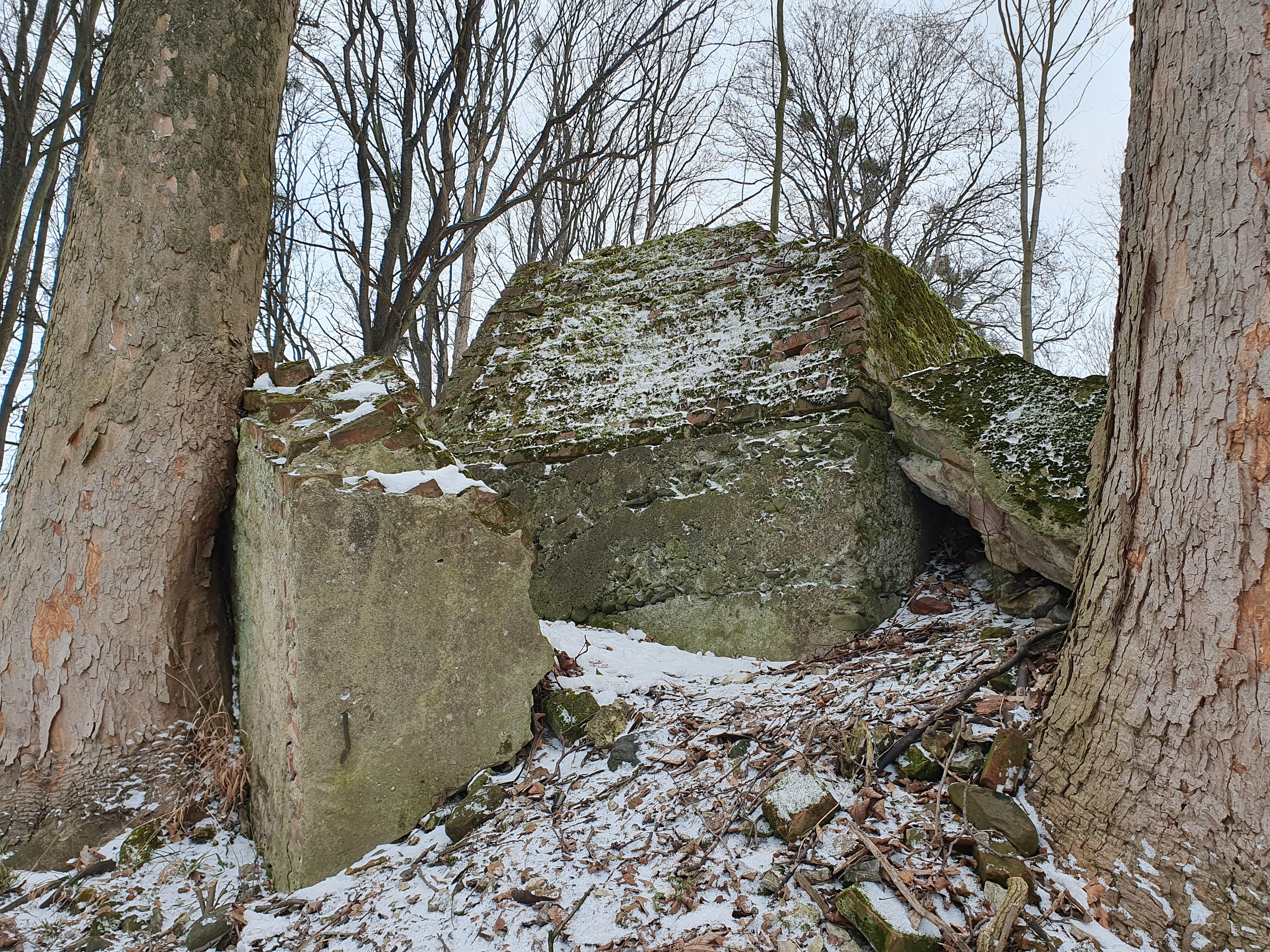 Zamek Horni Domaslavice