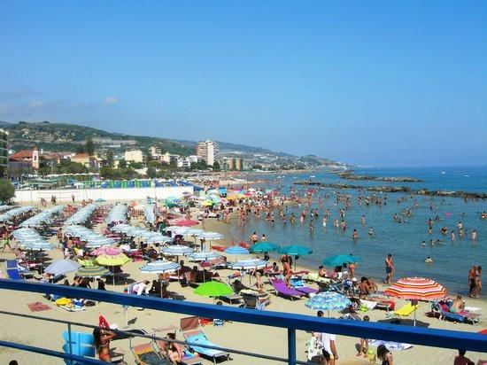 Plaża Arma di Taggia