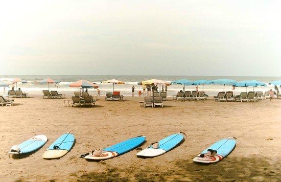 Plaża 66