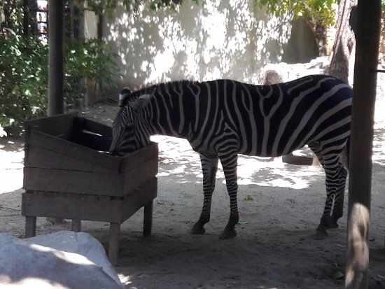 Ogród zoologiczny w Barranquilla