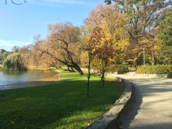 Park im. Miasta Roth w Raciborzu