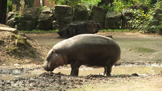 Ogród Zoologiczny w Płocku