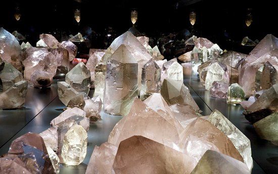 Muzeum Historii Naturalnej w Bernie