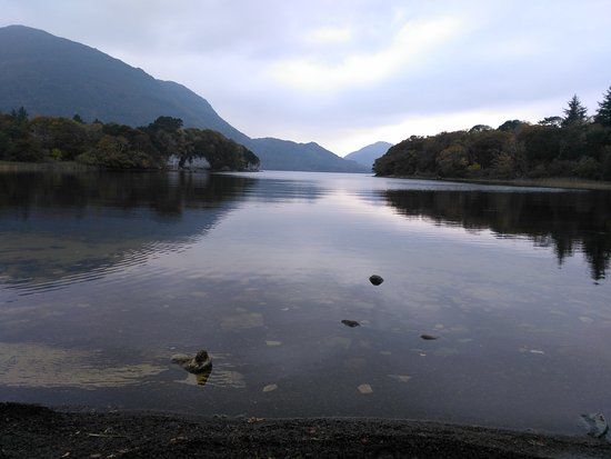 Mossy Woods Nature Trail