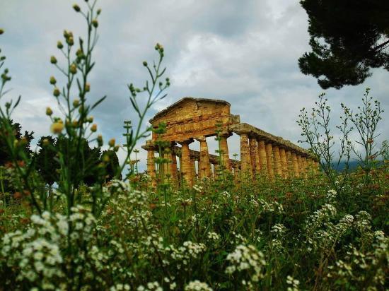 Narodowe Muzeum Archeologiczne w Paestum