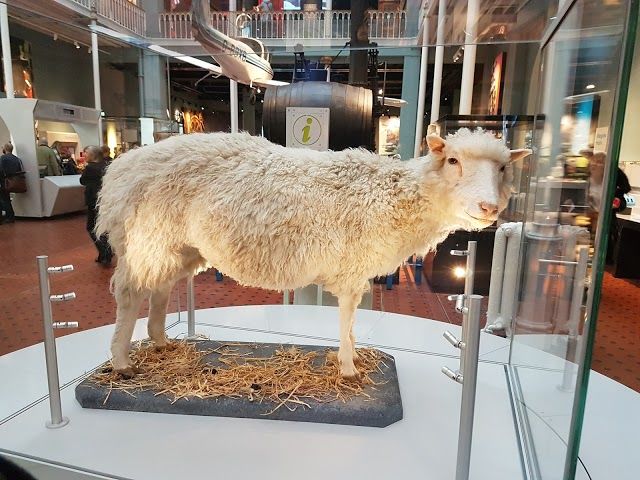 Muzeum Narodowe Szkocji