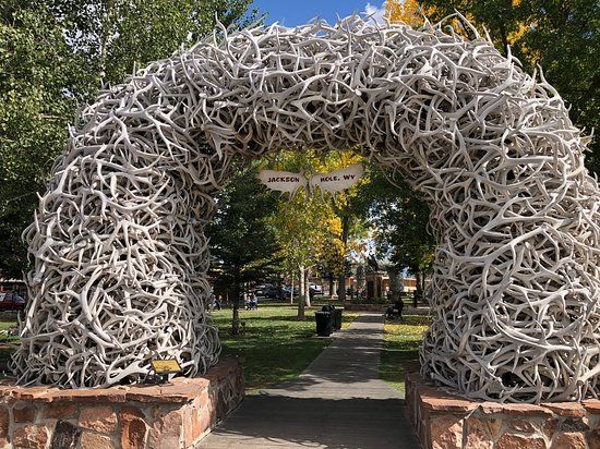 Antler Arches of Jackson