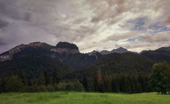 Hunting Chateau Hohenlohe