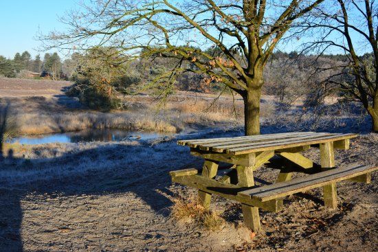 Pole golfowe Brunssummerheide