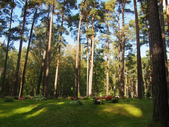 Cmentarz leśny Skogskyrkogården