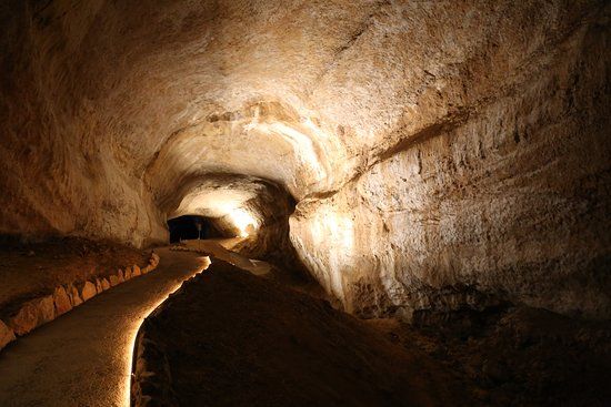 Jaskinia Mammoth Cave