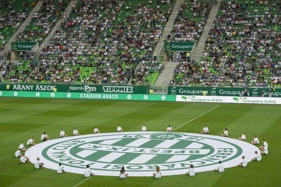 Stadion Groupama Arena