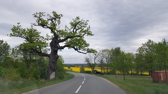 Rezerwat Archeologiczny