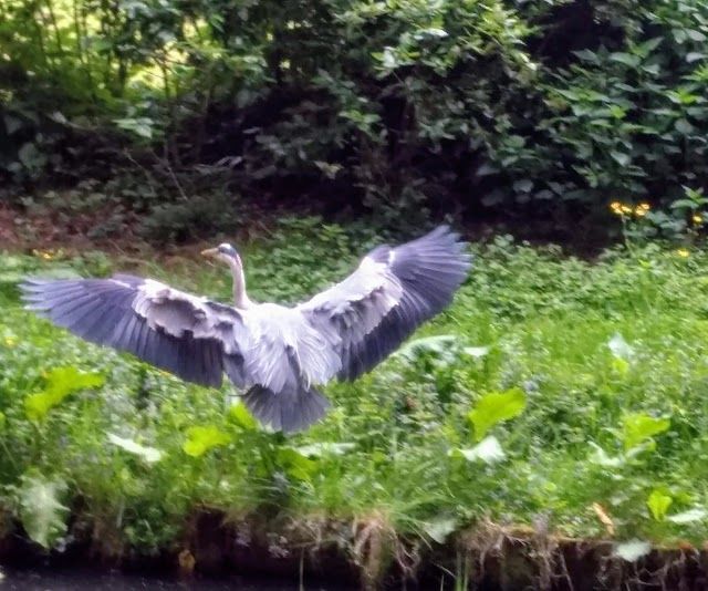 Park Amsterdamse Bos