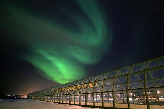 Muzeum Nauki Arktikum