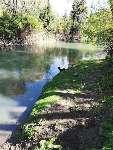 Rezerwat Przyrody Doliny Aniene