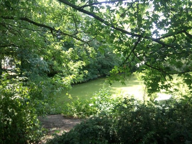 Stotteritzer Waldchen