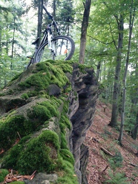 Rezerwat przyrody Herby