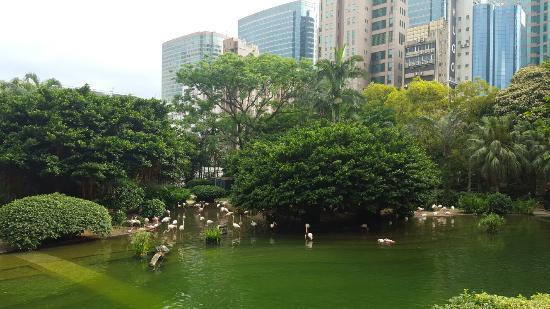 Park w Kowloon