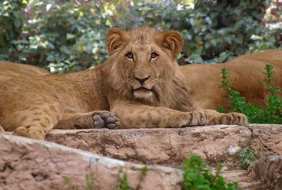 Ogród Zoologiczny w Barcelonie