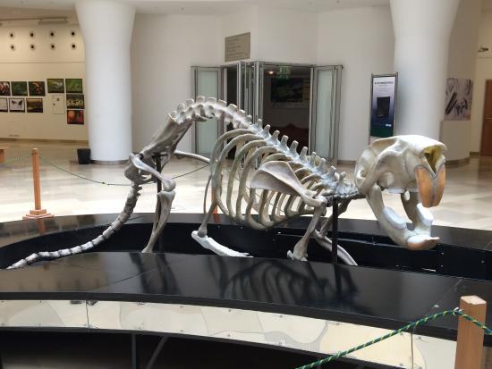 Węgierskie Muzeum Historii Naturalnej