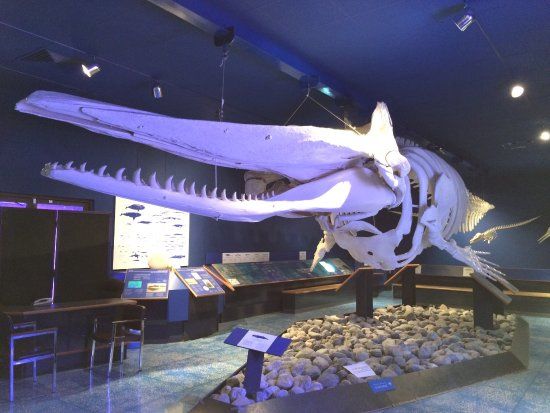 Muzeum Historii Naturalnej w Oman