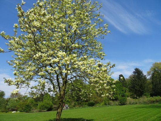 The Arboretum Dreijen