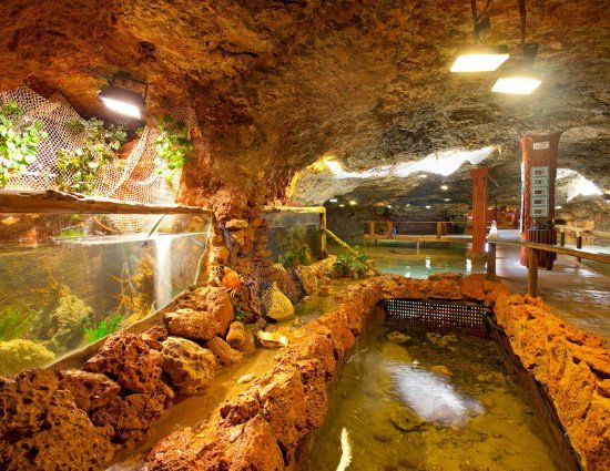 Oceanarium Cap Blanc