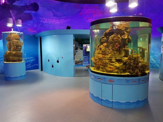 Riverwatch Aquarium and Visitor Centre