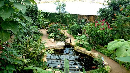 Motylarnia w Benalmádenie