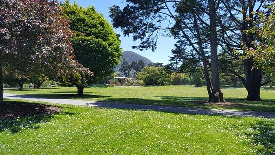 Ogród botaniczny w San Francisco