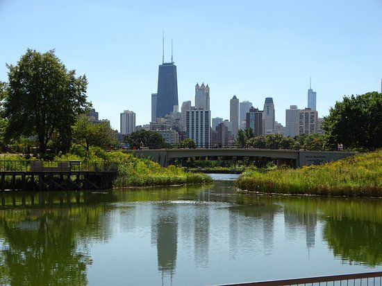 Ogród zoologiczny Lincoln Park
