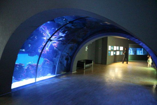 Civic Aquarium of Milan