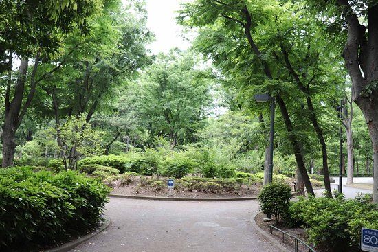 Park centralny w Shinjuku