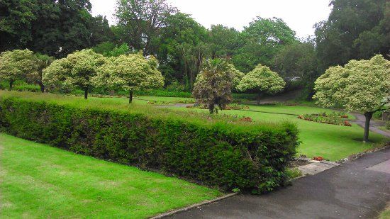 Kingsnorth Gardens
