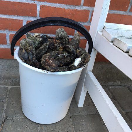 Naturcenter Tonnisgard