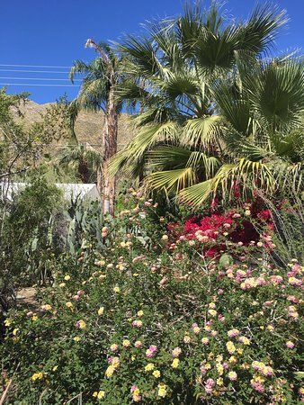 Ogród botaniczny i kaktuarium Moorten