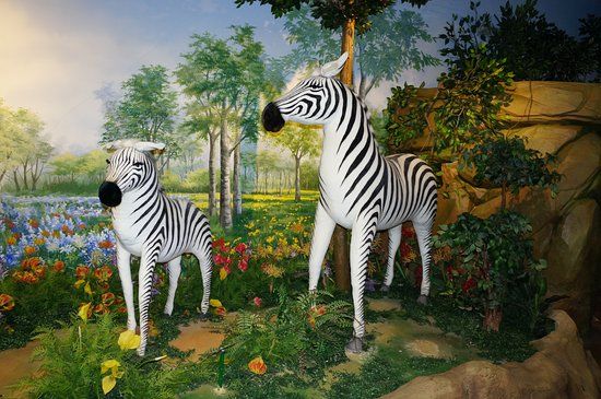 Muzeum Sztuki Afrykańskiej