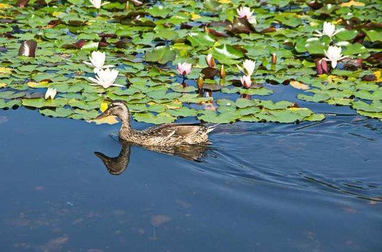 Park rzeźb austriackich