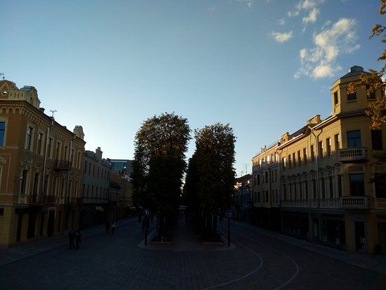 Aleja Wolności w Kownie