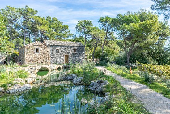 Wioska dalmatyńska Dalmatian Ethno Village