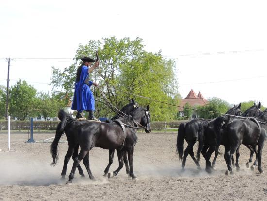 Park Narodowy Hortobágy