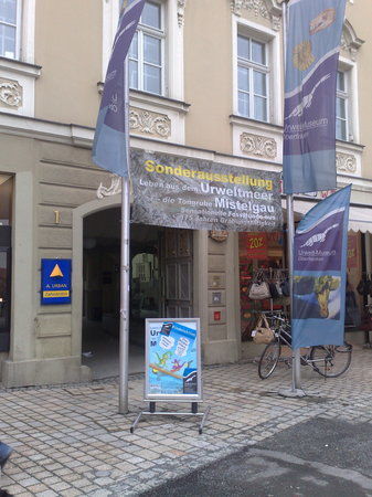 Muzeum Historii Naturalnej