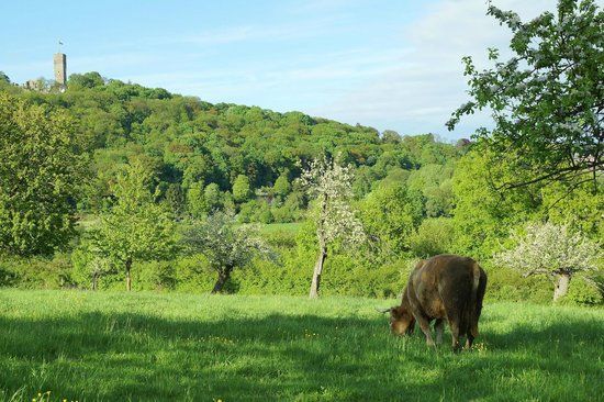 Naturpark Hochtaunus