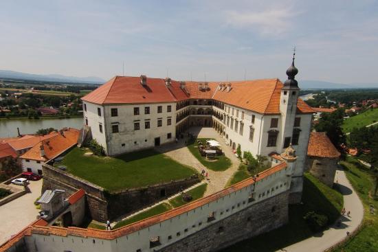 Zamek Ptuj