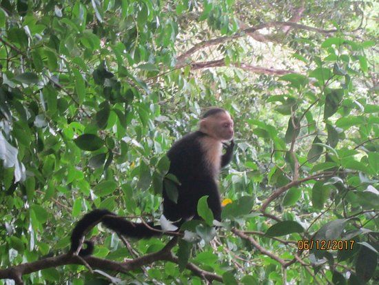 Park Narodowy Manuel Antonio